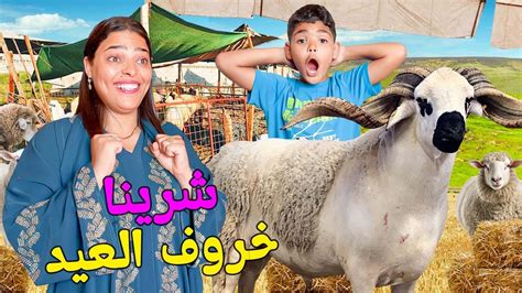 اخيرااشتريت خروف العيد 🐏 بدون علم زوجتي وابني‼️ملي شافوه تصدموا 😱