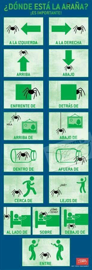 Dónde está la araña araña Dónde esta la Spanish phrases