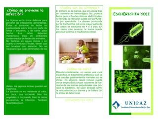 Folleto microbiología PPT Descarga Gratuita