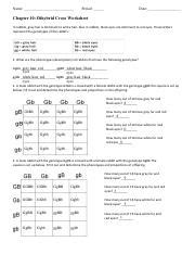 Punnet Square Worksheet Pdf Name Period Date Chapter 10