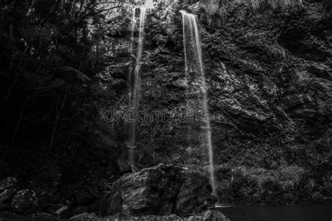 Twin Falls Waterfall Located In Springbrook National Park Stock Image