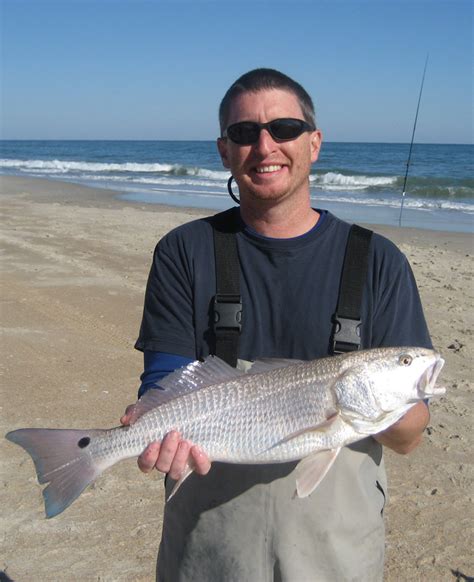 Fishing In The Outer Banks October - Unique Fish Photo