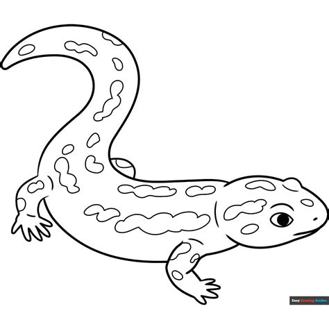 Salamander Coloring Pages Monkey Coloring Pages Cartoon Coloring Pages