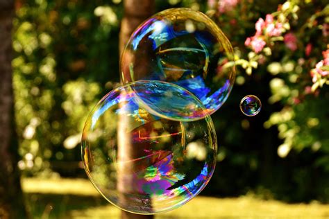 Large Soap Bubbles Image Free Stock Photo Public Domain Photo CC0