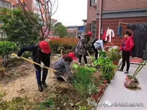 开展农村人居环境“六乱”整治 建设美丽幸福家园五寨县妇联致全县广大妇女和家庭的倡议书澎湃号·政务澎湃新闻 The Paper