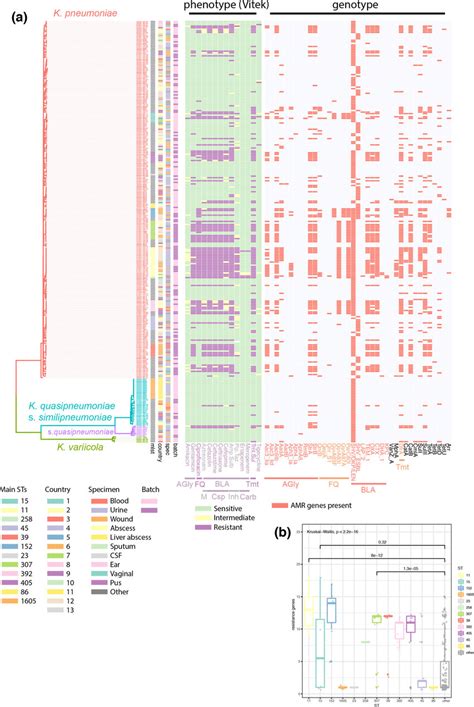 Whole Genome Sequencing Analysis Reveals Several High Risk Clones With