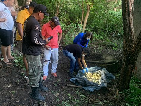 Iml De Macei Identifica Ossada Encontrada No Bairro Do Feitosa Em