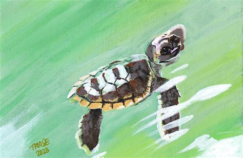 Baby Sea Turtle Painting By Taphath Foose Fine Art America