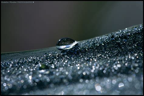 Papel De Parede Agua Natureza Manh Vidro C None Molhado Bokeh