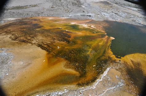 Pump Geyser S Microbially Colored Runoff Early Afternoon Flickr