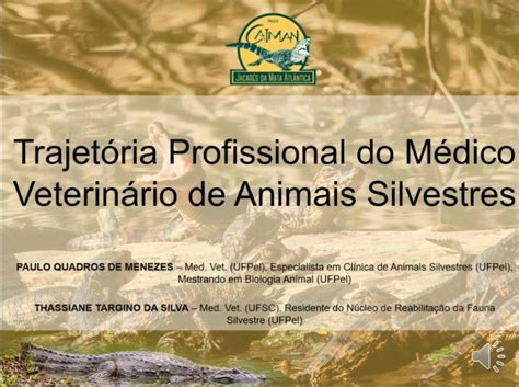 Trajet Ria Profissional Do M Dico Veterin Rio De Animais Silvestres