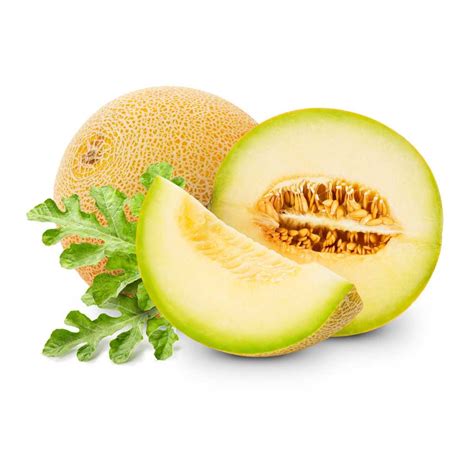 Rock Melon - Awesome Melon Agro