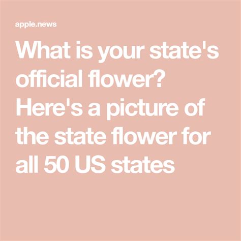 State Flowers Of All 50 Us States