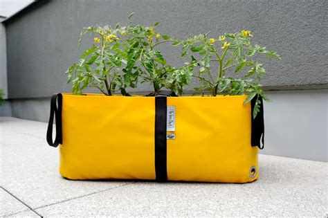 The Green Block Blooming Walls