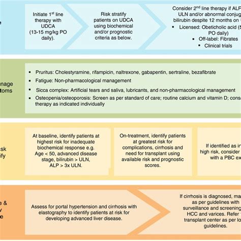 Management Pillars Of Primary Biliary Cholangitis Alp Alkaline Download Scientific Diagram