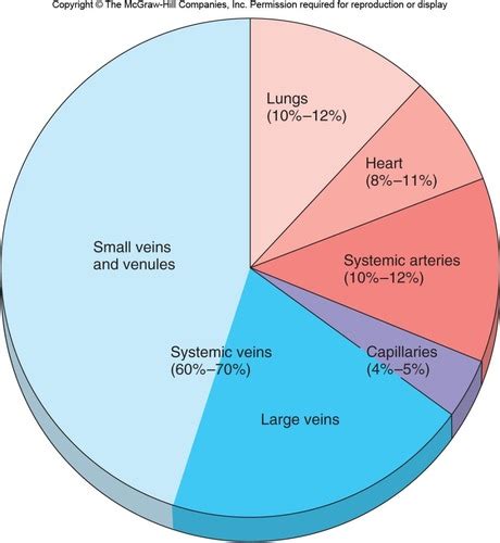 Ch Part Capillary Exchange And Peripheral Blood Flow Flashcards