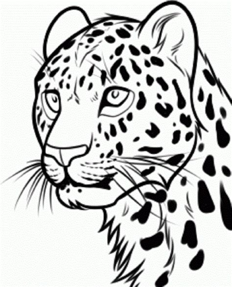 Leopard face paint – Artofit