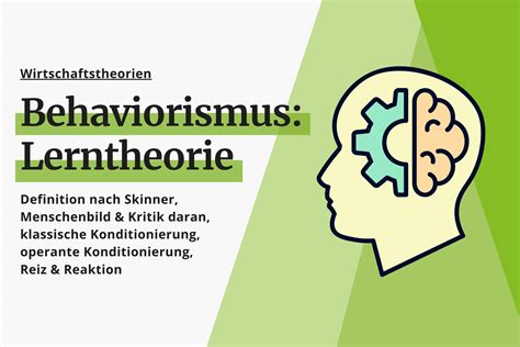 Behaviorismus Definition Lerntheorien Nach Skinner Kritik