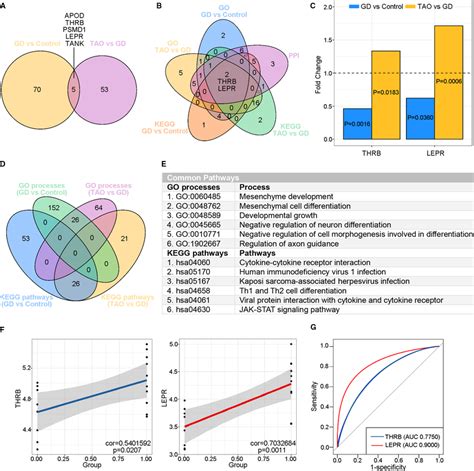 Identification Of Key Immunerelated Genes IRGs In TAO A Venn