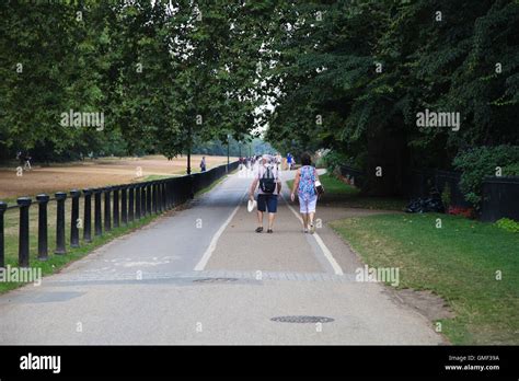 Hyde Park London Aug People Sunbathe And Enjoy Hot Weather In Hyde Park London As