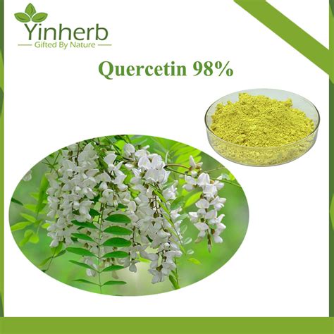 Wholesale Sophora Japonica Flower Extract 95 Quercetin Powder With Lab