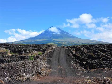 Azores Mountain Wine And Whales A Travel Guide Of Pico Island By