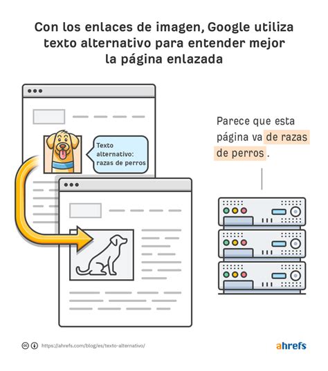 Texto Alternativo Para Seo Cómo Optimizar Sus Imágenes