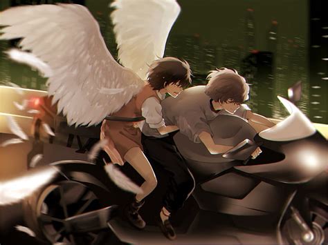 Zankyou No Terror Wings Romance Anime Angel Zankyou Love Manga