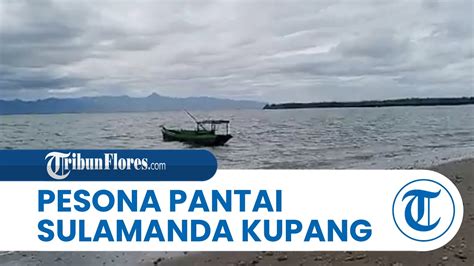 Pesona Pantai Sulamanda Surga Bahari Di Kupang Tengah Yang Suguhkan