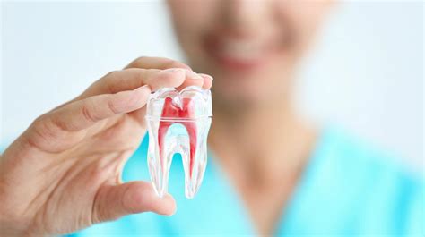 Qué es la estomatología Clínica Dental Lorenzo