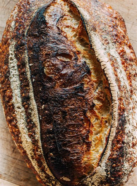 Tartine Bread Cookbook