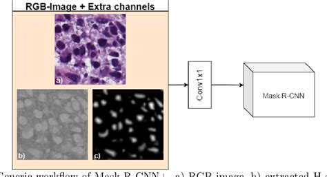 Figure From Improving Mask R Cnn For Nuclei Instance Segmentation In