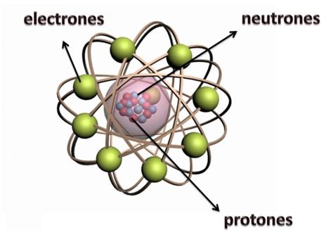 Las Partes Del Tomo Y Sus Propiedades