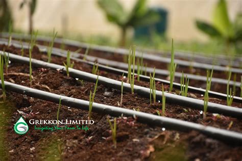 Irrigation Water Pipes For Sale By Grekkon Limited Call 254 715 157 132