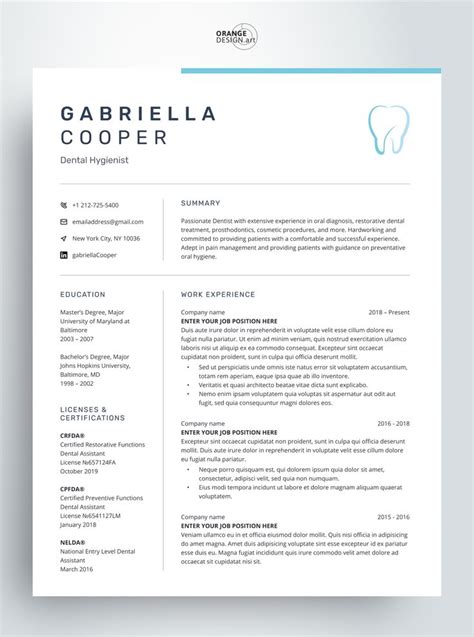 Modern Cv Template Ms Word Liffe Curriculum Vitae