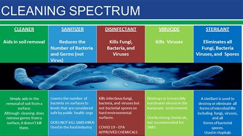 Disinfectant VS. Sanitizer: Wich One Will Combat Covid-19? | Ana ...