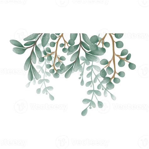 Hojas Verdes Png Clipart De Hoja Hojas De Acuarela Fresco Png Y Psd