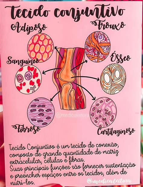 TECIDO CONJUNTIVO | Tecido conjuntivo, Tecidos biologia, Tecido humano