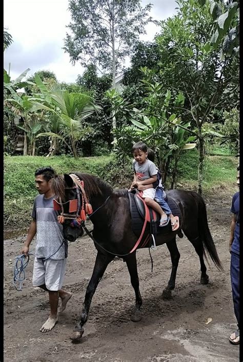 Wahana Asik Di Wisata Berkuda Karang Bayan Travbuck