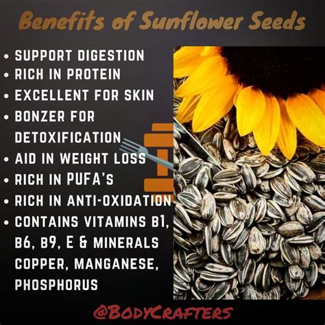 Where To Buy Sunflowers Seeds Racquel Chow