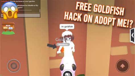 How To Get A Free Goldfish In Adopt Me New Update Youtube