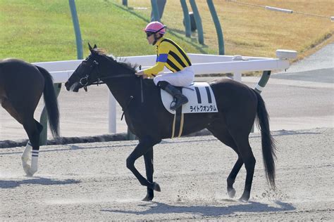 【新馬 東京5r】ディープ最終世代 ライトクオンタムがデビューv 競馬ニュースなら競馬のおはなし