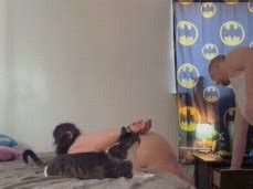 Handcuffed Heads Down Porn Pornhub