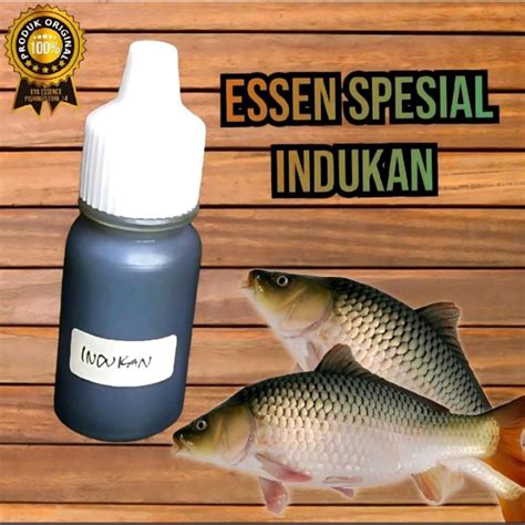 Jual ESSEN SPESIAL INDUKAN IKAN MAS Cocok Untuk GALAPUNG Dan Galatama