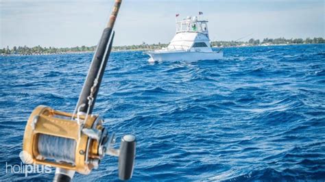 Book Deep Sea Fishing In Havana Tour Departure From Havana Cuba