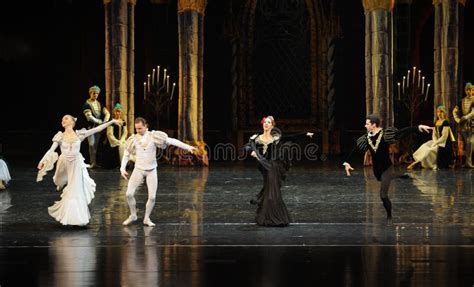 Black And White Dancers The Prince Adult Ceremony Ballet Swan Lake Editorial Stock Image Image