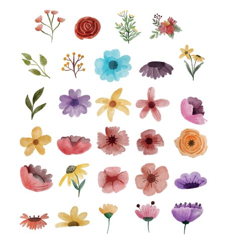 Watercolor Flower Elemen Vector free 10722588 Vector Art at Vecteezy