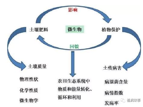 作物土传病害主要有哪些？发生原因和防治方法如何？ 土壤改良 新农资360网土壤改良果树种植蔬菜种植种植示范田品牌展播农资微专栏