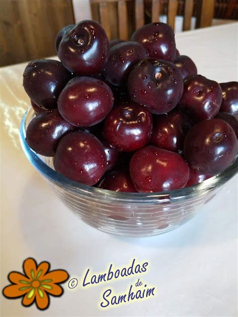 Lamboadas De Samhaim Helado Cremoso De Cerezas