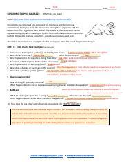 Understanding Trophic Cascades In Ecosystems Course Hero